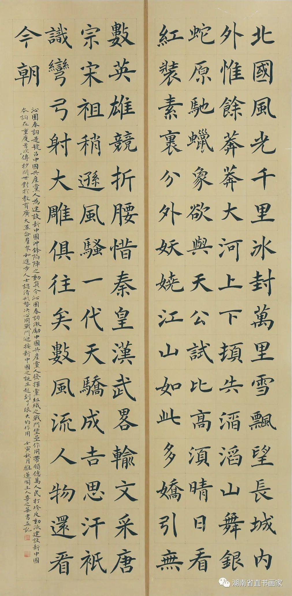 y81